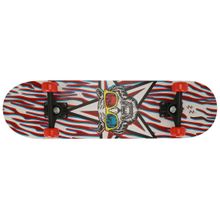 Patineta Zoom Ltech Surtido Tigre