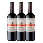 Vino-MORANDE-pionero-reserva-sauvignon-x750-ml-2X3_121608