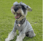 image-f897c18cddfe4e159845b9b10cdbe069