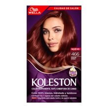 Tinte KOLESTON borgoña intenso kit 466