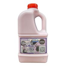 Yogurt ANDINALAC mora x1000 g