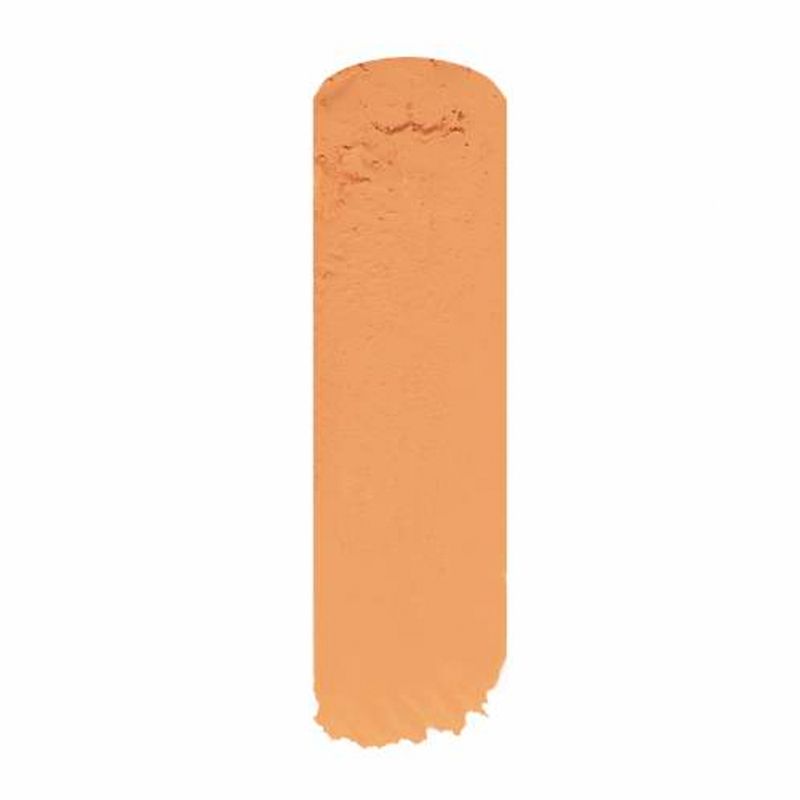 Corrector-SP-PRO-paint-stick-102-x10-g_128846-1