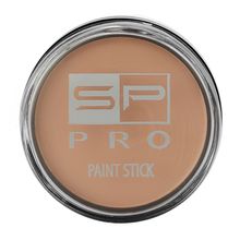 Corrector SP PRO paint stick #101 x10 g