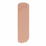 Corrector-SP-PRO-paint-stick-101-x10-g_128845-1