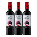 Vino-GATO-NEGRO-cabernet-sauvignon-tinto-x750-ml-2x3_56606