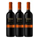 Vino-SANTA-RITA-3-medallas-carmenere-x750-ml-2x3_112105