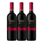 Vino-SANTA-RITA-3-medallas-cabernet-sauvignon-x750-ml-2x3_112103