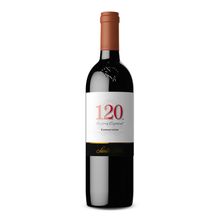 Vino SANTA RITA 120 reserva especial carmenere x750 ml