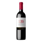 Vino-SANTA-RITA-120-reserva-especial-cabernet-sauvignon-x750-ml_3060
