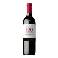Vino SANTA RITA 120 reserva especial cabernet sauvignon x750 ml