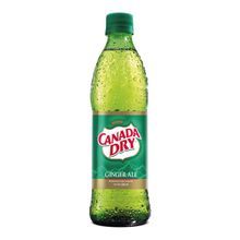 Gaseosa CANADA DRY ginger x300 ml