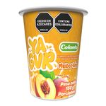 Yagur-COLANTA-melocoton-x150-g_129979