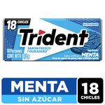 TRIDENT-menta-x30-6-g_25515