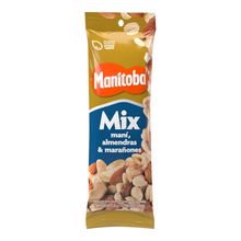 Mix MANITOBA maní y nueces x40 g