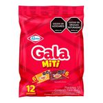 Pastel-RAMO-gala-miti-vainilla-chocolate-x384-g_3007