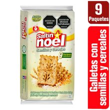 Galletas SALTÍN NOEL semillas y cereales 9 unds x24 g c/u