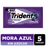 Chicle-TRIDENT-mora-azul-sin-azucar-x8-5-g_120135