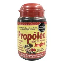 Propóleo NATURAL FRESHLY jengibre jalea x350 g