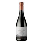 Vino-CASTILLO-MOLINA-tinto-reserva-pinot-noir-x750-ml_61007
