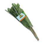 Hierbabunea-FOREVER-fresh-aromatic-forever-x105-g_132395.jpg