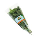 Toronjil-FOREVER-fresh-aromatic-x60-g_132401.jpg