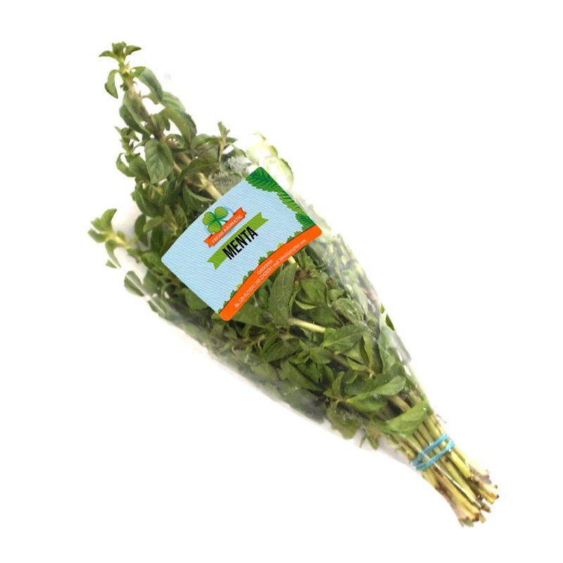 Menta-FOREVER-fresh-aromatic-x65-g_132404.jpg
