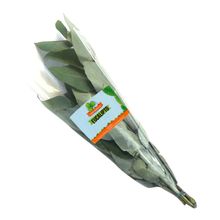Eucalipto FRESH AROMATIC x70 g