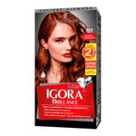 Tinte-IGORA-brillance-topacio-N-757_112998.jpg