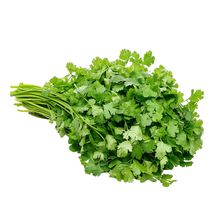 Cilantro manojo
