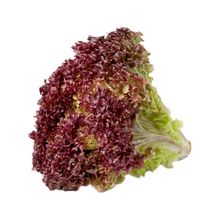 Lechuga morada unidad