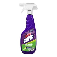 Quitagrasa EASY OFF x500 ml