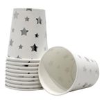 Vaso-MOMENTY-estrella-plata-x10-unds-JARH0152_134407