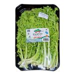 lechuga-escarola-organiza-un_119098