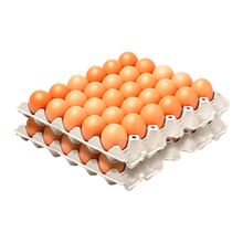 Huevo 100% HUEVOS AA x45 unds amarrado