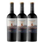 Vino-MORANDE-pionero-reserva-sauvignon-x750-ml-c-u-2-3_121608