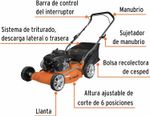 image-dfb1042b78834c9e9f56ef5ff49b7c8a