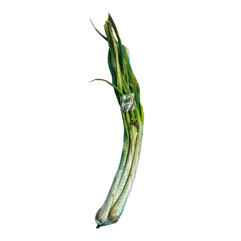 Cebolla-larga-malla_134130