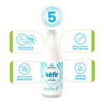 Kefir-SAN-MARTIN-sin-dulce-x1000-ml_128726-1