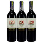 Oferta-Vino-SANTA-RITA-120-reserva-especial-merlot-x750-ml-13-Vol-Pague-2-lleve-3