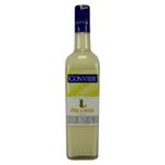 Piña-colada-CONVIER-x750-ml