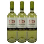 Vino-SANTA-RITA-750-Suavigñon-Blanco-Pague-2-Lleve-3