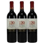 Vino-SANTA-RITA-750Ml-Carbenet-3X2-Botella