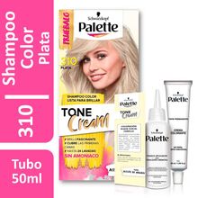 Shampoo color PALETTE plata N.° 310