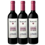 Vino-NORTON-cabernet-sauvignon-x750-ml-13-Vol-Paque-2-lleve-3-botellas