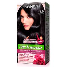 Tinte NUTRISSE negro intenso N.° 1-0