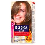 Tinte-IGORA-VITAL-6-00-DT-rubio-oscuro_116171