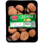 Champinon-Criminni-Bandeja-x-350-g_27940