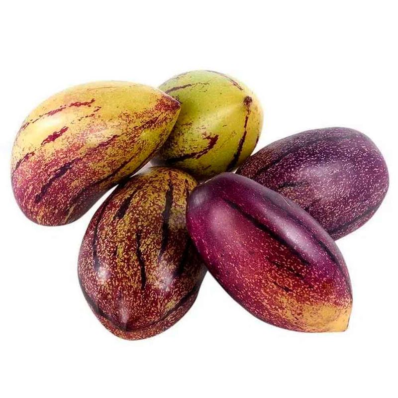 Pepino-dulce_14669