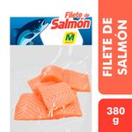 Salmon-M-x380-g_119524