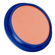 Rubor individual plata NAILEN #24 x3 g
